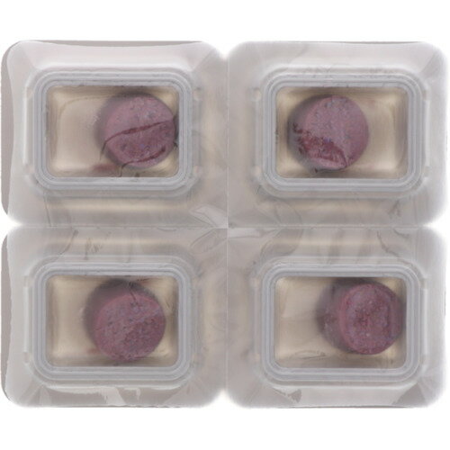 アース デスモアプロ 最後の晩餐 トレータイプ (1個) 品番：093714