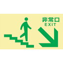 日本緑十字 安全標識 高輝度蓄光避難誘導標識 非常口(階段右下) TKN109 130×230 東京都条例適合品 (1枚) 品番:068049