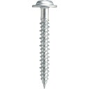 若井産業 WAKAI ステンレス ビスピタ ドリル付 ナベ バリューパック 4X25 (1Pk) 品番:BN425BS