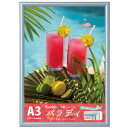 Kenko ケンコー 1250264 ダイレクトフレーム パラディ A3 ブルー EPR-A3 BU (1枚) 品番:EPR-A3-BU