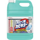 ジョンソン 洗たく槽カビキラー5kg(計量カップ付) (1個) 品番:349693(3)