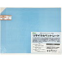 光 リサイクルペットシート 透明 450×600×0.6mm (1枚) 品番:RPT4056-1