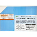 光 リサイクルペットシート 白 200×300×0.6mm (1枚) 品番:RPT2036-2