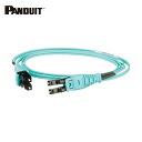 パンドウイット PANDUIT プッシュブル式LCデュプレックス光ファイバーパッチコード ライザー OM3 10m 1本入 (1本) 品番:FX2ERQ1Q1SNM010