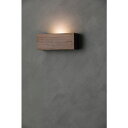 朝日 LED壁掛捕虫器 hidamari(ウォルナット) (1台) 品番:HIDAMARI-WN