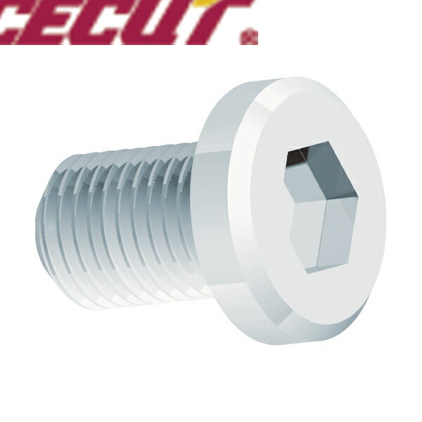 富士元工業 面取りカッター用オプションパーツ ハンチャンマン 樹脂ガイド板用ネジ (1個) 品番：H-1