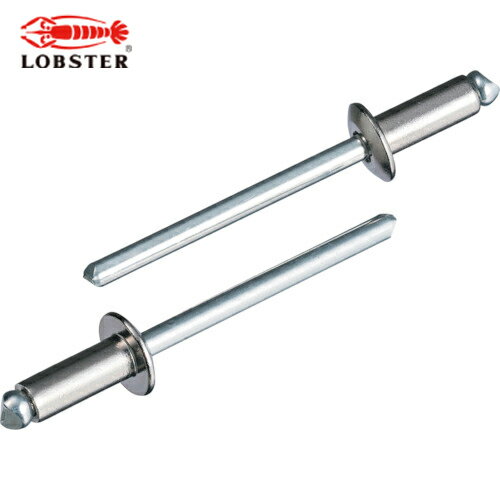 ロブテックス エビ ブラインドリベット（丸頭） ステンレス/スティール製 6-4（1000本入） (1箱) 品番：LSS64