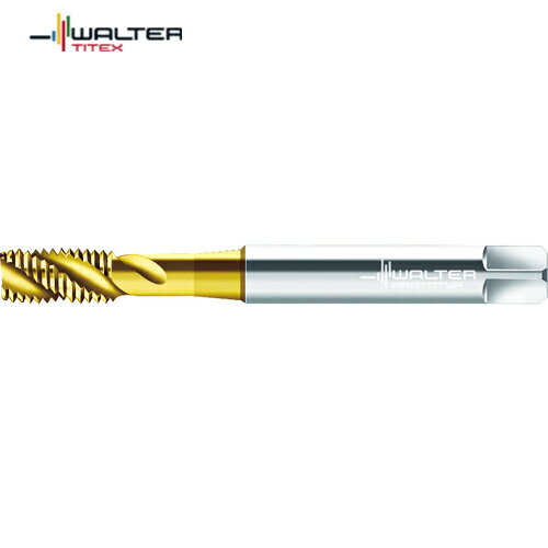 ץȥƥå WSH ѥ륿åסTINȡ (1) ֡JC2051705-M3