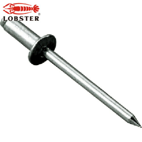 ロブテックス エビ ブラインドリベット アルミ/スティール 6-10 （1000本入） (1箱) 品番：NSA610