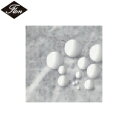 フロンケミカル フッ素樹脂(PTFE)球バリュータイプ 4.76Φ 10個入り (1袋) 品番:NR0346-004