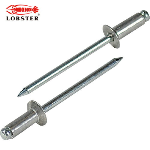 ロブテックス エビ ブラインドリベット・皿頭 アルミ/スティール 5-2 （1000本入） (1箱) 品番：NSA52K