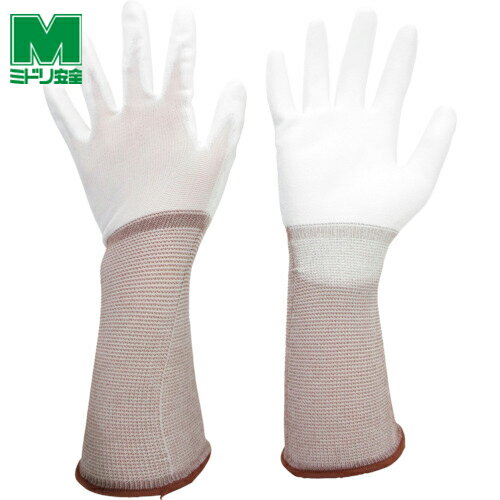 ߥɥ ȼ ȯм  ΤҤ饳 10 SS (1) ֡MCG-500N-LONG-SS 쥿ȴ