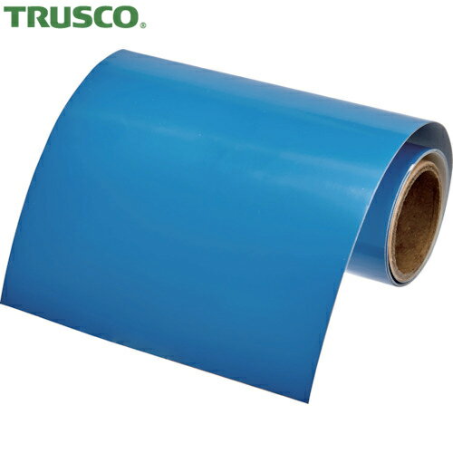 ȥ饹 TRUSCO ۴ѥƥå ۴ɼ̥ơ ġ2.5PB5/8ˡʿط100mm1m (1) ֡RAH-507...