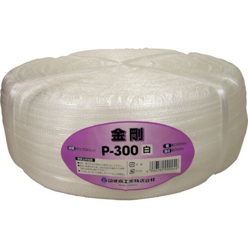 ĥ «PPʥĥơסP-300  (1) ֡P-300
