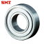 SMT ƥ쥹ܡ٥ ɥ ط10߳22mm (1) ֡SS6900ZZ