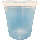 佐野屋産業 食品用容器 SANOPACK300 密閉容器 (1個) 品番:SANOPACK300