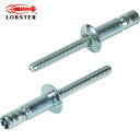 ロブテックス エビ 高強度ブラインドリベット Sボルト(丸頭) Φ4.8/板厚11.0mm (500本入) (1箱) 品番:SNS48110