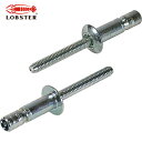 ロブテックス エビ 高強度ブラインドリベット Sボルト(丸頭) Φ6.4/板厚9.5mm (250本入) (1箱) 品番:SNS64095