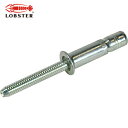 ロブテックス エビ 高強度ブラインドリベット Sボルト(皿頭) Φ6.4/板厚12.0mm (250本入) (1箱) 品番:SNS64120K(4)