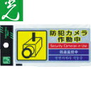 光 多国語防犯ステッカー (1枚入) (1枚) 品番:SEC127-1
