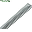 トラスコ TRUSCO ピクチャーレール2m 30kg用 シルバー (1本) 品番:TMCH2-SV