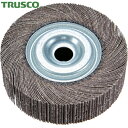 トラスコ TRUSCO 研磨輪 外径100mm 幅25mm 100# 2個入 (1箱) 品番:TFW100-25-100