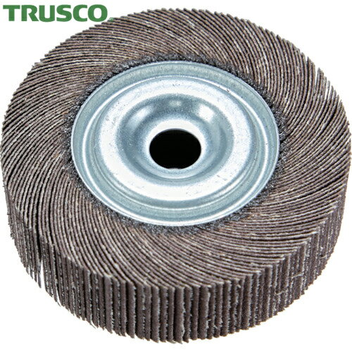 トラスコ TRUSCO 研磨輪 外径100mm 幅25mm 240# 2個入 (1箱) 品番：TFW100-25-240