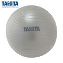 タニタ TANITA ジムボール TS-962-SV (1個) 品番:TS-962-SV