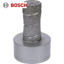 BOSCH(ボッシュ) X-LOCKミーリングダイヤ 20mm (1個) 品番：2608599038