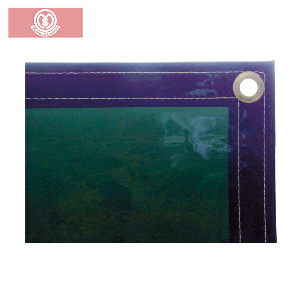  ׸ѾΩѥ ꡼ (1) ֡YS-SDG-2