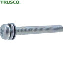 トラスコ TRUSCO 薄板用座金組込ねじ 三価クロメート M3×12 75本 (1Pk) 品番:Y031-0312
