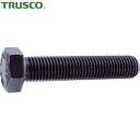 トラスコ TRUSCO 10.9六角ボルト 全ネジ 16×65 2本入 (1Pk) 品番:Y112-1665