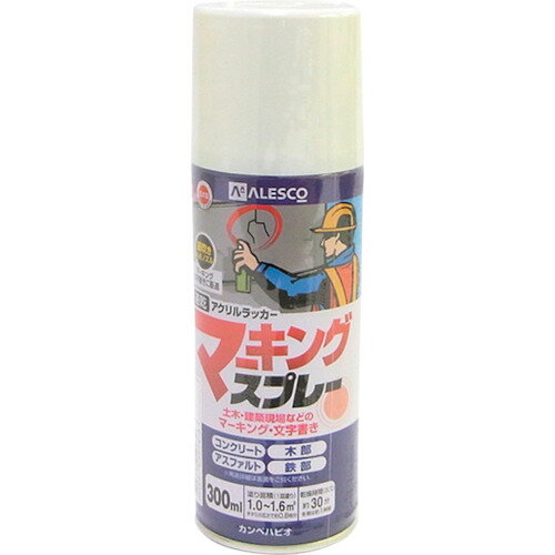 ڥϥԥ KANSAI ޡ󥰥ץ졼K 300ML  (1) ֡00527640012300