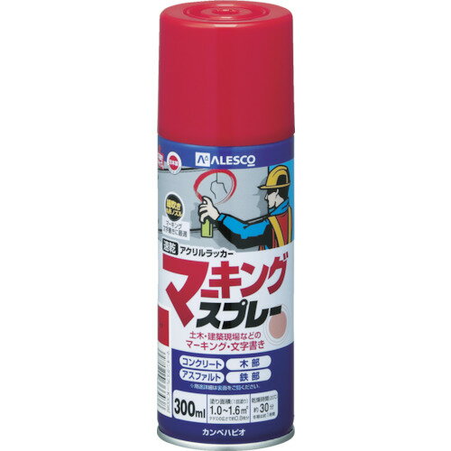 ڥϥԥ KANSAI ޡ󥰥ץ졼K 300ML  (1) ֡00527640032300