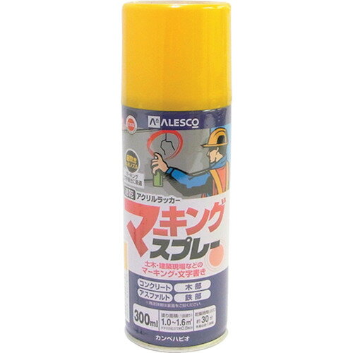 ڥϥԥ KANSAI ޡ󥰥ץ졼K 300ML  (1) ֡00527640552300