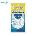 Kao 花王 口腔ケア ピュオーラ 歯みがきシート 15枚入 (1Pk) 品番:289315