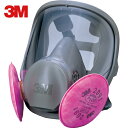 3M(スリーエム) 取替式防じんマスク 6000F/2091-RL3 Mサイズ (1個) 品番：6000F/2091-RL3M(スリーエム)