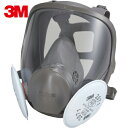 3M スリーエム 取替式防じんマスク 6000F/2071-RL2 Lサイズ (1個) 品番:6000F/2071-RL2L