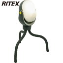 ライテックス RITEX 室内用センサーライト どこでもセンサーライト300 (1台) 品番:ASL-097