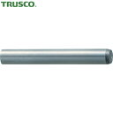 TRUSCO(トラスコ) 平行ピン A種 公差m6 S45C 4.0×20 35本入 (1Pk) 品番：B61-0420