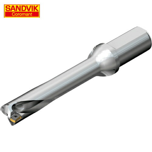 SANDVIK ɥӥå ɥDS20򴹼ɥ465 (1) ֡DS20-D3000L32-05