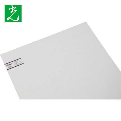 光 エンビ板 透明 910×600×0.5mm (1枚) 品番：EB965-1