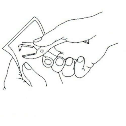 ■ササガワ 水引 水引 白赤25 4400125 44125(5798865)[送料別途お見積り][法人限定][掲外取寄]