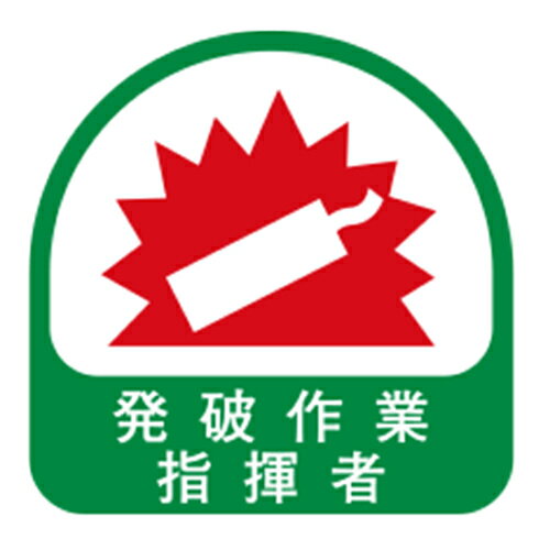 TOYO　ヘルメット用シール　NO.68-030