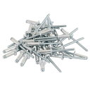SK11 ブラインドリベット 35入 SA6-6M 【何個でも送料据え置き!】