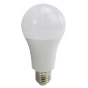 SK11 LED@16W LDA16D-G-SK