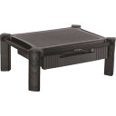【6/22 20:00~6/27 01:59迄 ポイント2倍 お買い物マラソン】 StarTech スターテック パソコンモニター台/32インチモニター/引出し付き/耐荷重10kg/机上 卓上 デスクトップ ディスプレイ スタンド (1台) 品番:MONSTADJD