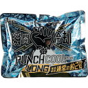 ユニット 冷却材 パンチクールロング(15個入) (1箱) 品番:HO-71A-15