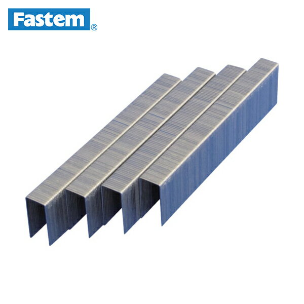 立川ピン製作所 タチカワ ステープル 肩幅10mm 長さ19mm 5000本入り (1箱) 品番：J1019