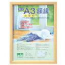 ナカバヤシ 樹脂製軽量額(キジ)パック/対象 (1枚) 品番:KWP-61